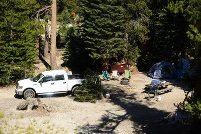 DSC_0181 (Large).JPG